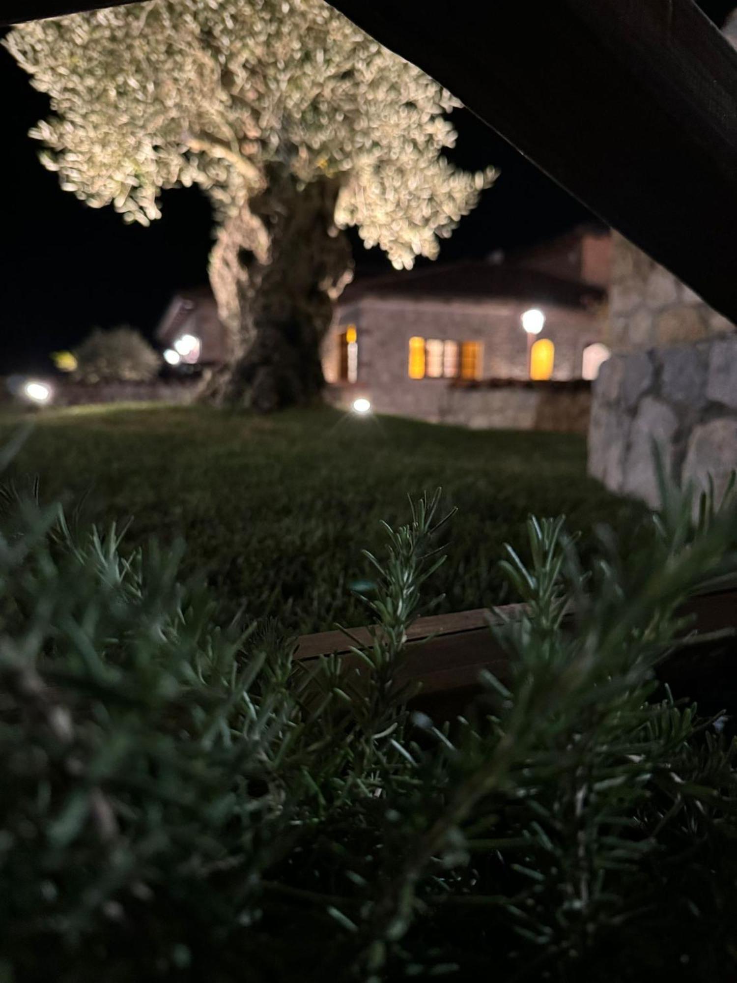 Tenuta Rosa - Gastronomia E Relax Montesano Scalo Zewnętrze zdjęcie